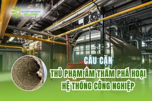 Cáu cặn: Thủ phạm âm thầm phá hoại hệ thống công nghiệp